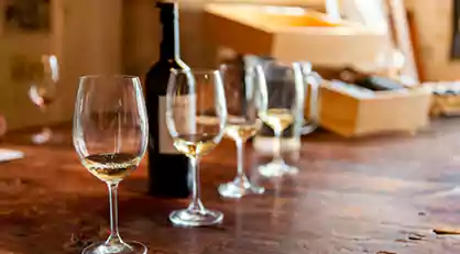 wine tasting in stellenbosch